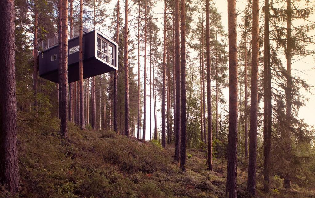 Treehotel Harads Bilik gambar